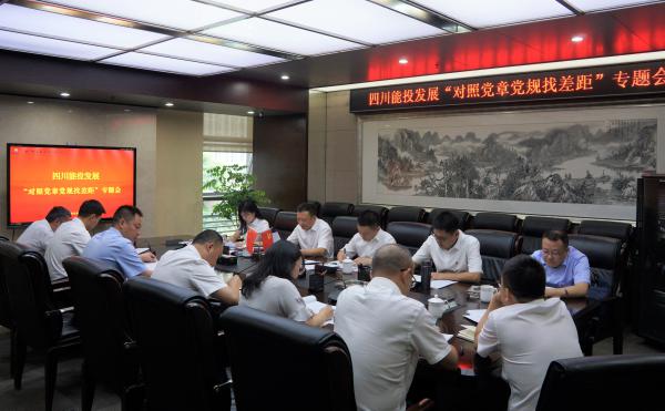 suncitygroup太阳新城党委召开“对照党章党规找差距”专题会